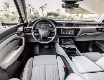Panel frontal Audi e-tron 55 quattro [Worldwide] '2019–22