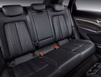 Audi e-tron 55 quattro [Worldwide] '2019–22