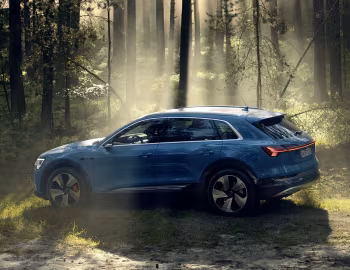 Audi e-tron 55 quattro [Worldwide] '2019–22