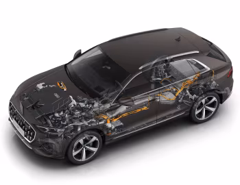 Audi Q8 55 TFSI e quattro [Worldwide] '2024–н.в.