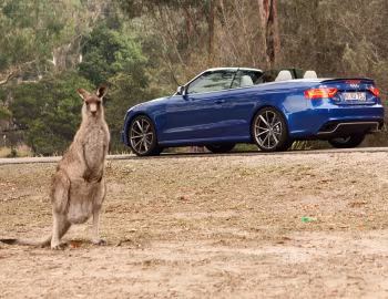 Audi RS 5 Cabriolet [Australia] '2013–17