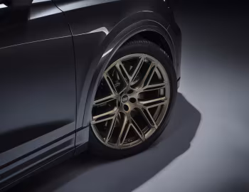 Audi RS Q8 [Worldwide] '2024–pr.