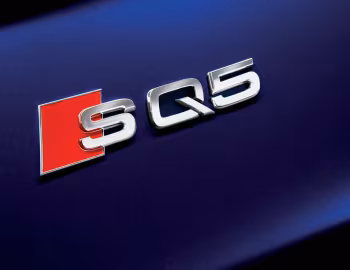Audi SQ5 TDI [Worldwide] (8R) '2013–17