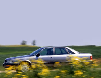 Audi V8 [Worldwide] '1988–93