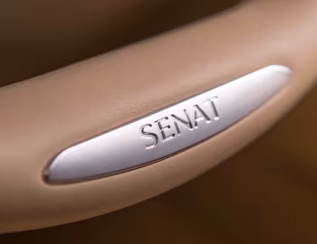 Aurus Senat S600 (412300) '2018–н.в.