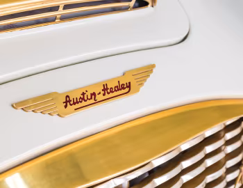 Austin Healey 100-6 "Goldie" (BN6/2260) '1958