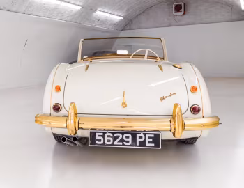 Austin Healey 100-6 "Goldie" (BN6/2260) '1958