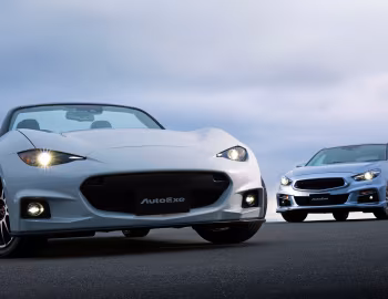 AutoExe