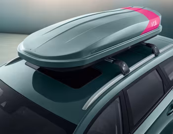 Baojun Valli '2021–н.в.