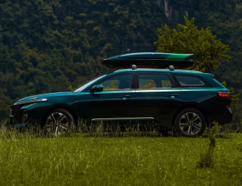 Baojun Valli '2021–н.в.
