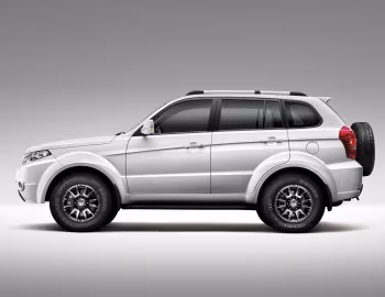 Weiwang 007 '2015–17