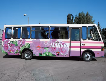 БАЗ А079.33 Мальва '2002–15