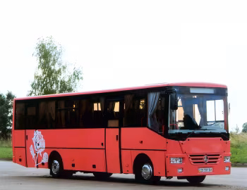БАЗ А081.20 Роза '2011–н.в.