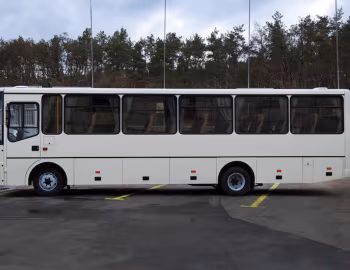 БАЗ А081.20 Роза '2011–н.в.