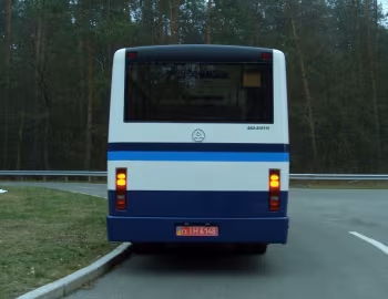 БАЗ А081.10 Василек '2010–н.в.