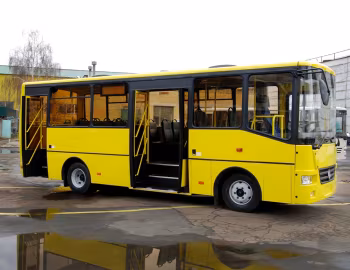 БАЗ А081.10 Василек '2010–н.в.