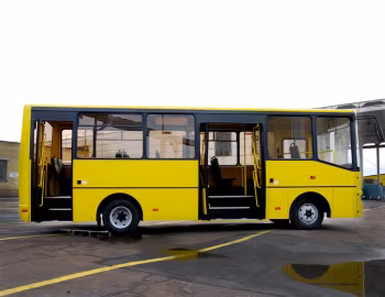 БАЗ А081.10 Василек '2010–н.в.
