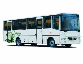 БАЗ А081.20 Роза '2011–н.в.