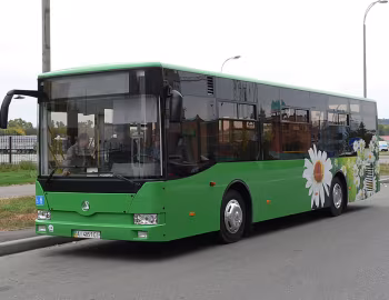 БАЗ А11110 Ромашка '2010–13
