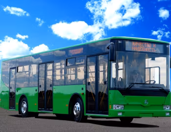 БАЗ А11110 Ромашка '2010–13
