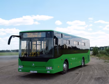 БАЗ А11110 Ромашка '2010–13