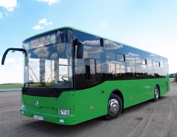 БАЗ А11110 Ромашка '2010–13