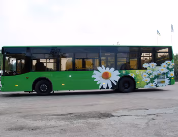 БАЗ А11110 Ромашка '2010–13
