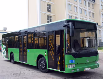 БАЗ А11110 Ромашка '2010–13