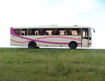БАЗ А148.2 '2007–н.в.
