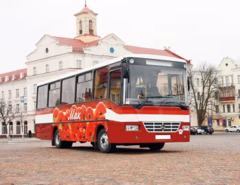 ЧАЗ А083.10 Мак '2010–н.в.