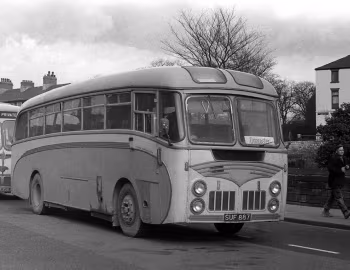 Leyland Tiger Cub PSUC1/2 Beadle [UK-spec] (C41C) '1956–58