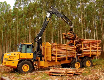 Bell T403 '2013–18
