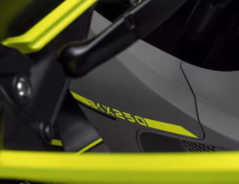 Benelli BKX 250 '2023–pr.