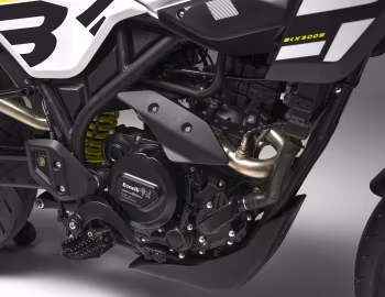 Sous la capuche Benelli BKX 300 S '2024–pr.