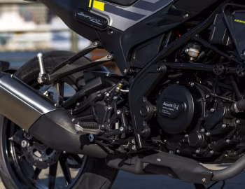 Sous la capuche Benelli Leoncino 250 '2019–20