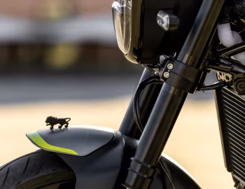 Mascotte Benelli Leoncino 250 '2019–20