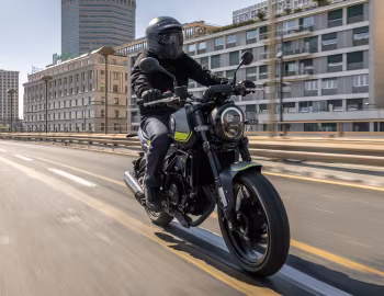 Benelli Leoncino 250 '2019–20