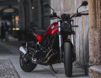 Benelli Leoncino 500 '2022–23