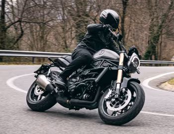 Benelli Leoncino 800 '2022–н.в.