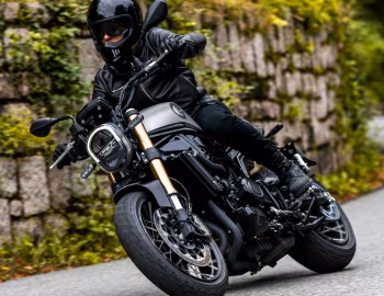 Benelli Leoncino 800 '2020–22
