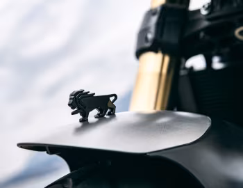Маскот Benelli Leoncino 800 '2022–н.ч.