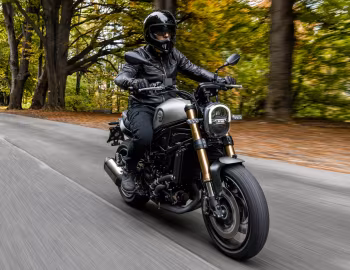 Benelli Leoncino 800 '2020–22