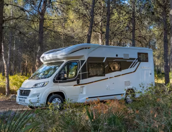 2019–20 Benimar Mileo 242 '2018–20
