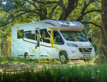 2019–20 Benimar Mileo 296 '2018–20
