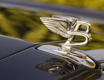 Mascote Bentley Brooklands '2007–12.2009