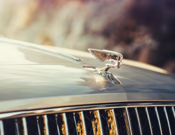 Mascote Bentley Flying Spur [Worldwide] '2019–22