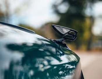 Mascote Bentley Flying Spur Hybrid [Worldwide] '2021–pr.