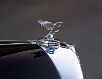 Mascotte Bentley Mark VI Coupe by Pinin Farina (B466DA) '1949