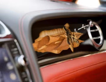 Intérieur Bentley Bentayga Falconry by Mulliner '2017–20