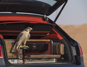 Coffre Bentley Bentayga Falconry by Mulliner '2017–20